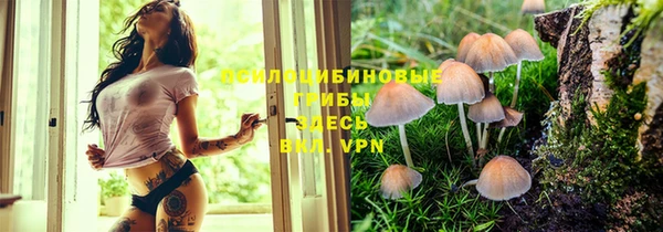 мет Алексеевка